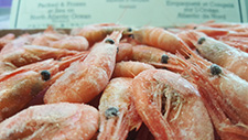 mersey prawns